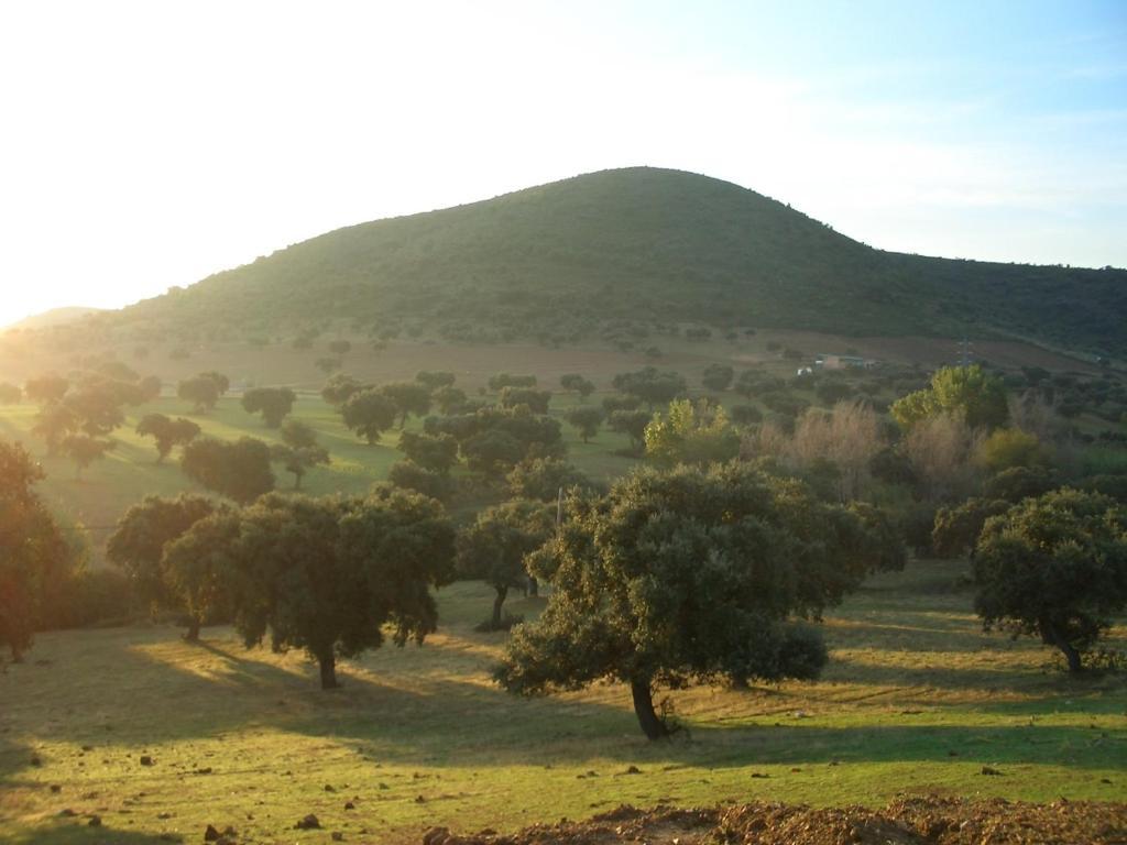 Cortijo El Criadero El Hoyo Pokój zdjęcie